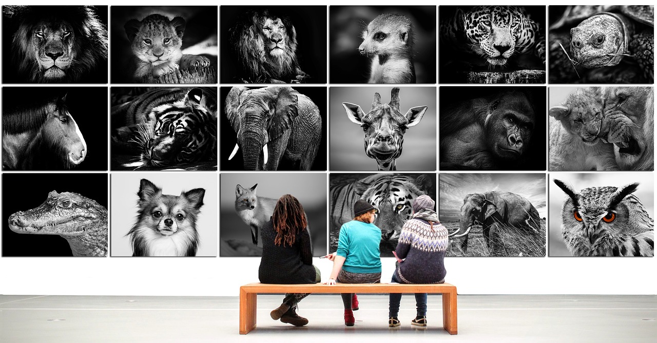 gallery, painting, museum, decoration, element, periodic table, nature, framework, animals, wall decoration, management, decorative, black, artist, decor, artistic